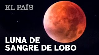 SUPERLUNA de sangre con ECLIPSE lunar total [upl. by Lanaj842]