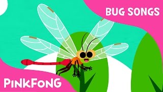 DDDDragonfly  Bug Songs  Pinkfong Songs for Children [upl. by Barta]