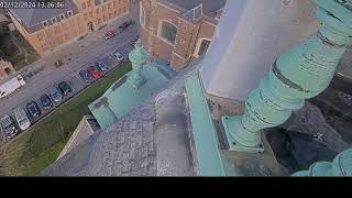 Webcam Slechtvalken SintSalvatorskerk buiten [upl. by Trixi751]