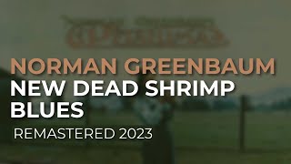 Norman Greenbaum  New Dead Shrimp Blues Remastered 2023 Official Audio [upl. by Rebeca]