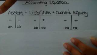 Accounting Equation with TAccounts [upl. by Africah]