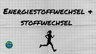 Energiestoffwechsel und Stoffwechsel  ATP  Basics  einfach erklärt [upl. by Cullan]