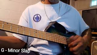 RedSub Coliseum Fanned Fret 5String Bass Blue Burl Burst  DEMO Slap [upl. by Eerrahs]