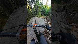 Love this trail Pro lines galore Have you watched the full video on my channel mountainbike [upl. by Terrance]