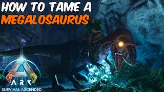 How To Tame a Megalosaurus in ARK Survival Ascended  Aberration Taming  Day amp Night Taming [upl. by Karoly219]