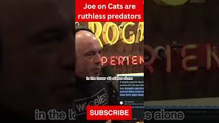 Joe Rogan ft Dan Flores on Why Cats are the Most Ruthless Predators [upl. by Dahsra671]