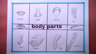 Human Body Parts DrawingHow To Draw Parts Of Human Body Parts [upl. by Eislehc]