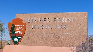 Day Trip to Petrified Forest National Park [upl. by Iorgo879]