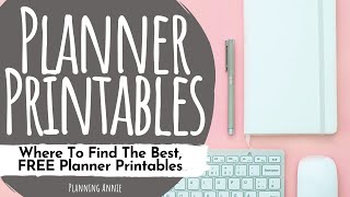 Free Planner Printables [upl. by Ardnekahs882]