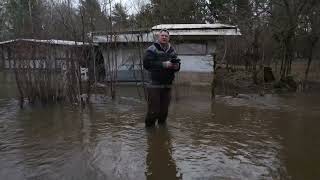 Aller Hochwasser bei Hambühren CIG 26122023 [upl. by Race]