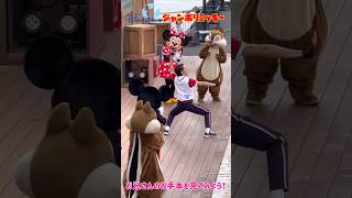 【ジャンボリミッキー！】上からジャンボリ～♫ お兄さんのお手本を見てみよう～♬ 東京ディズニーシー shorts ショート ディズニー [upl. by Ttnerb]