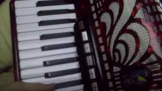 Batumi Filipinki akordeon cover [upl. by Ahsinyt550]