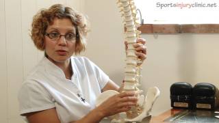 Sacroiliac Joint Pain Si Joint  A Chiropractors View [upl. by Egon]