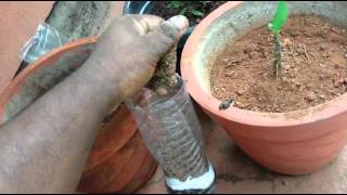 How to make a homemade water filter system [upl. by Eartnoed197]