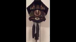 Cuckoo clock chiming [upl. by Nolla]