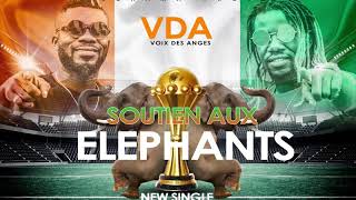 VDA SOUTIEN AUX ÉLÉPHANTS [upl. by Ellehcyt]