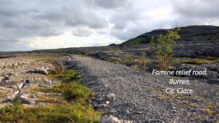 Irish Famine Video  Atlas of the Great Irish Famine book [upl. by Neelrak412]