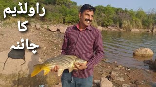 Nice Fishing Day at Rawaldam  Rawal dam Fishing  Sheikh Basit Fishing [upl. by Jerman]