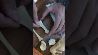 Tarsal bonesLower limb Ospe [upl. by Maureen51]