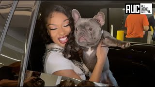 Megan Thee Stallion Shows Her Dog To Fans While Stuck In Traffic [upl. by Esoj184]