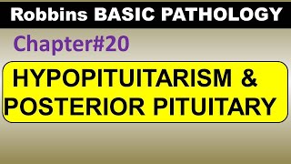 Ch20  Hypopituitarism  Posterior Pituitary Syndromes  Robbins Pathology  Dr Asif Lectures [upl. by Atinoj]