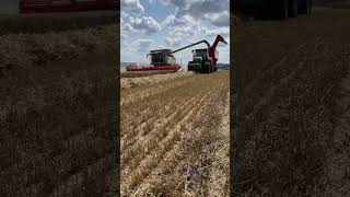 CLAAS LEXION 660 terratrack amp John Deere 8300  Annaburger💚💛🦌🌾📸 [upl. by Murphy]