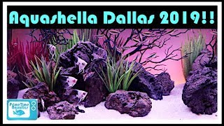 Aquashella Dallas 2019 Lets Look at All the Cool Fish [upl. by Marie]