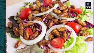 Top 10 Recipes for Cooking with Edible Insects [upl. by Mur12]