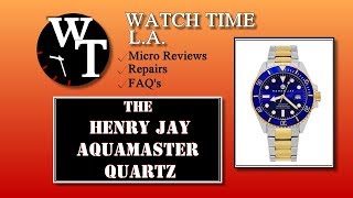 Henry Jay Aquamaster Watch Review Model HJ2001 [upl. by Sabas629]