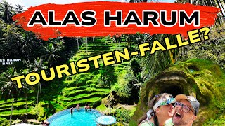 Bali 4K  Alas Harum  Magischer Ort oder Touristenfalle [upl. by Sinnaiy]