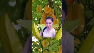 Star fruits shortsvideo trinding viral [upl. by Cavuoto]