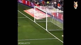 Black cat runs on field AND SCORES A GOAL🐈 shorts [upl. by Falk787]