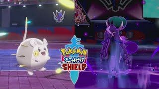 Togedemaru Matador de Lendários  Pokémon Sword amp Pokémon Shield  VGC 2022 Series 12 [upl. by O'Malley230]