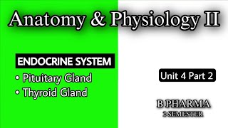 PITUITARY GLAND  THYROID GLAND ANATOMY amp PHYSIOLOGY  ENDOCRINE SYSTEM  U4 P2  HAP2  B PHARMA [upl. by Ennayoj]