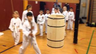 Fastelavn 2014 i Taastrup Taekwondo [upl. by Omer947]