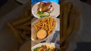 Best Diner Experience in South Tampa  Daily Eats  Tampa FL [upl. by Trilby]