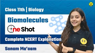 BIOMOLECULES IN ONE SHOT  CLASS 11TH BIOLOGY  BIOMOLECULES NCERT EXPLANATION  BY SONAM MAAM [upl. by Naujled]