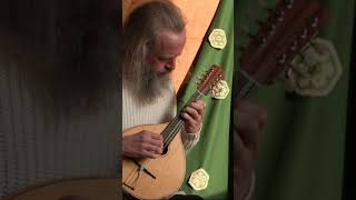 O Tannenbaum o Tannenbaum Volksweise  Toomas Rannu Mandoline shorts mandolin christmas [upl. by Evanthe]