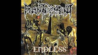 Disinterment  Endless Full Album Remastered [upl. by Ahsilram]