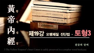 황제내경제19강 오행체질 진단법  토형3 [upl. by Eidua]