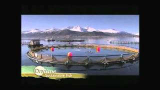 Farmed vs Wild Salmon Get the facts [upl. by Zohara]