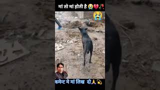 Like share subscribe kora ek kutta man Apne bacche ko mitti de rahi Mithu 🦮🦮🦮🦮😭😭😭 samajh ke [upl. by Mulcahy]