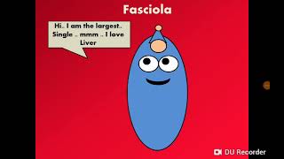 Fasciola Liver Fluke الدودة الكبدية الفاشيولا [upl. by Abey]