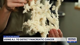 Using AI to detect pancreatic cancer [upl. by Ettevad]