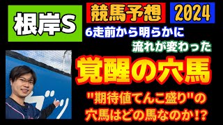 【競馬予想 根岸S2024】根岸ステークス2024！6走前から明らかに流れが変わった、覚醒の穴馬！期待値てんこ盛りの穴馬はどの馬なのか！？エンペラーワケア、サンライズフレイム、タガノビューティーは？ [upl. by Eillim588]