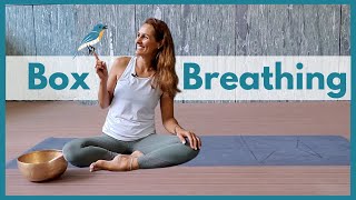 Box Breathing Technique  Breathing Exercise for Calm [upl. by Farrell]