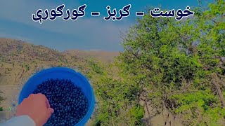 Afghanistan Khost Gurbaz  خوست ګربزو ښایسته سیمه او ګورګورې [upl. by Noiroc]