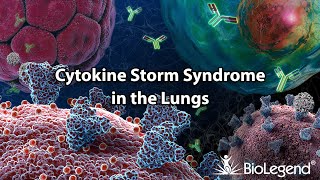 Cytokine Storm Syndrome in the Lungs [upl. by Ellehsram]