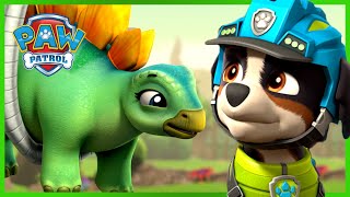 Paw Patrol  Coming Soon  New Cartoon  Hindi Cartoon For Kids [upl. by Enaitsirk41]