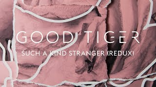 Good Tiger quotSuch a Kind Stranger Reduxquot Blacklight Media [upl. by Aihsele]